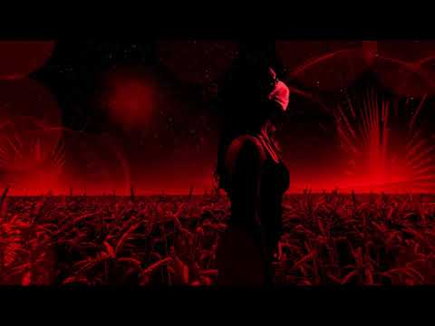 H Y P E R D O S E - Undeniable - [Official Music Video]