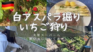 【ドイツでいちご狩り＆白アスパラ掘り体験】日本人クラブのバスツアーに参加／大型スーパーへ車で買い出しにいく充実した週末