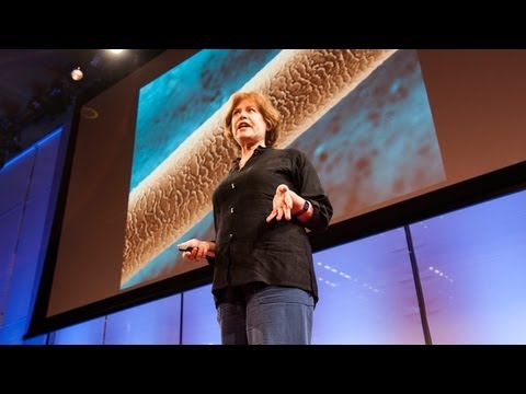 【TED-Ed】看見體內潛藏的世界 (Visualizing hidden worlds inside your body - Dee Breger)