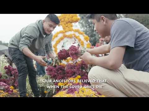 Video player poster image This is an image