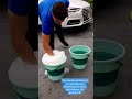 Two Bucket Method Cars Cardetail Carwash