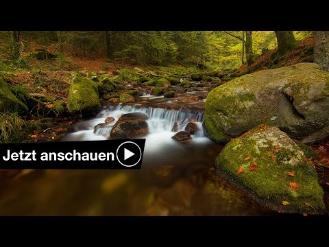 FOTOS DRUCKEN LASSEN - FOTO BUCH UND CO