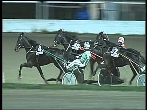 Trotto 22/11/2015 - 7° corsa