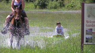 Follow Your Dreams - Messina/Poco