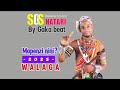 Walaga Lukwaja Mniwile Bongo Audio 2025 SOSi HATARi