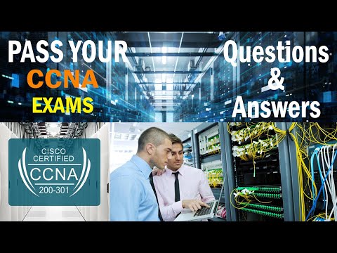CCNA 2 v7 Modules 5 – 6 Redundant Networks Exam Answers