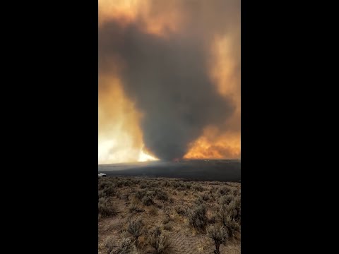Video captures swirling column of Oregon wildfire smoke