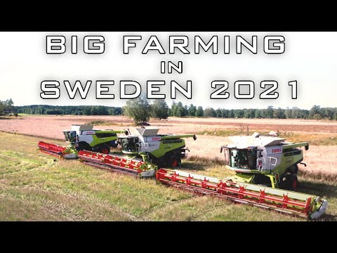 Big Farming in Sweden 2021