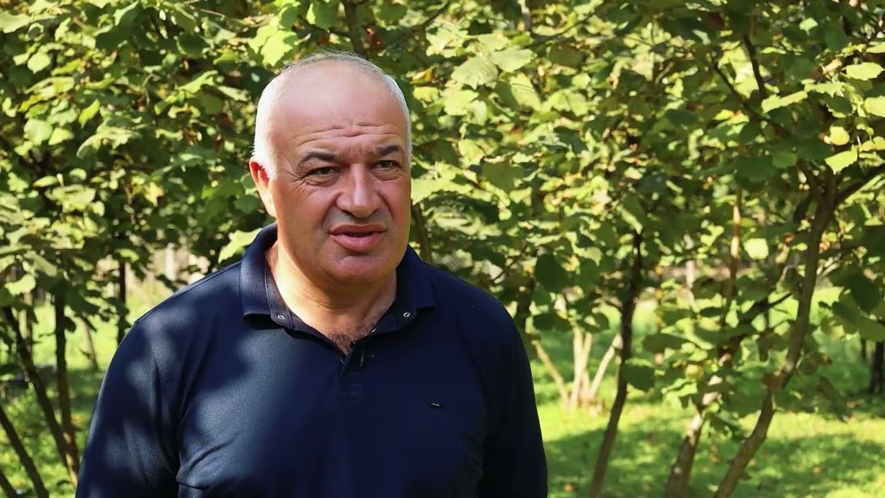 Farmer tells us about the assistance received within the framework of the hazelnut production promotion program