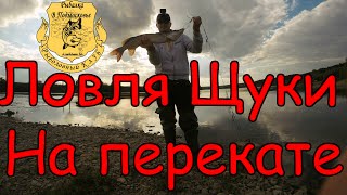 Ловля щуки осенью на оке