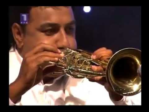 TRUBACI DEJANA ILICA I USNIJA REDZEPOVA  - KAZUJ KRCMO UZIVO - PARACIN