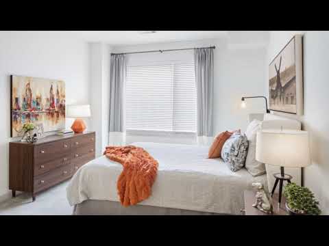 1 Bedroom Apartment for Rent in Cambridge, MA