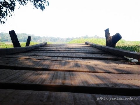 Coming Home jithin panickarodam Photography