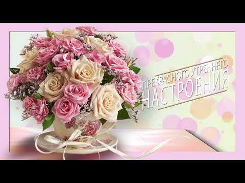 ДОБРОЕ УТРО!💗Прекрасного утреннего настроения💗