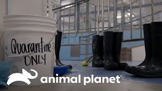 Thumbnail del capítulo