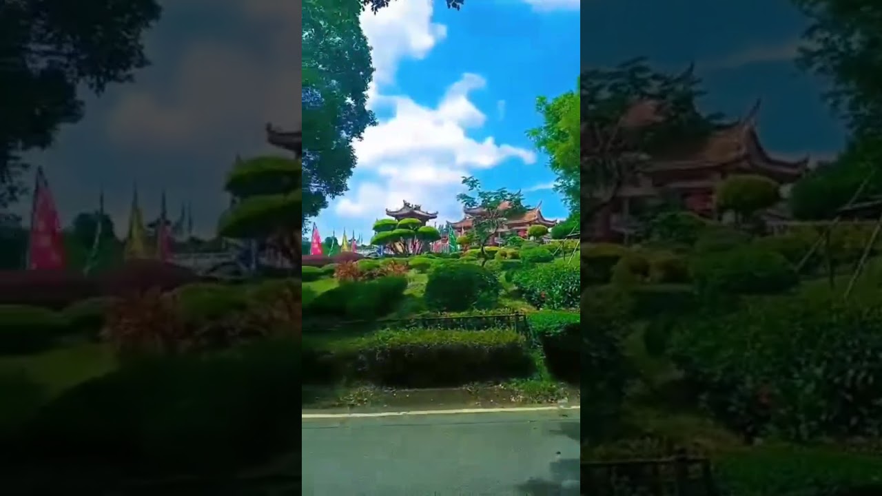 YouTube Short thumbnail