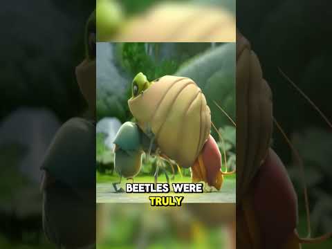 Go Forward But Look Your Back !