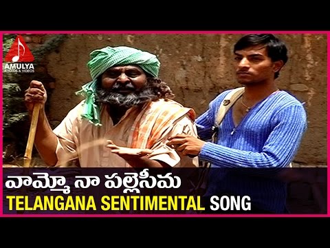 Telangana Emotional songs | Vamoo Na Palle Seema Sentimental Song | Amulya Audios And videos Video