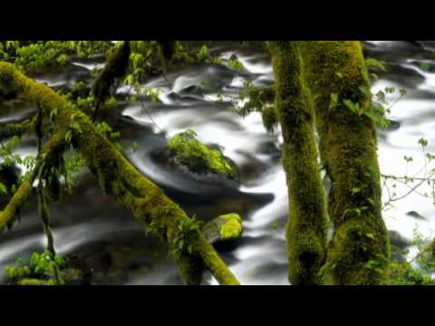 VAST VISION AND RAM -Sandwriting (Temple one REMIX) [HD]