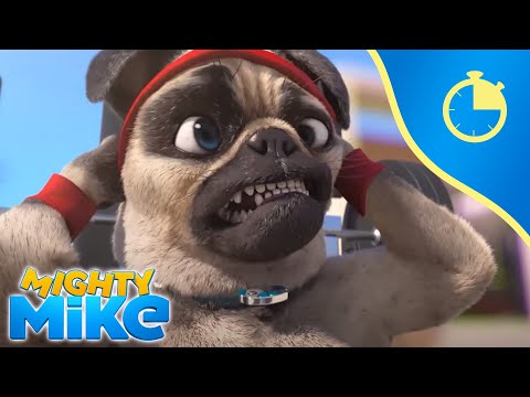 30 minutes of Mighty Mike 🐶⏲️ // 100% Sport Compilation - Mighty Mike