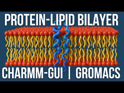 Protein-Membrane Simulation Setup | CHARMM-GUI to GROMACS Molecular Dynamics Tutorial