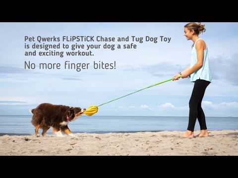 Your Dog is Going to Flip Over this One! Literally! FLiPSTiCK Pet Qwerks