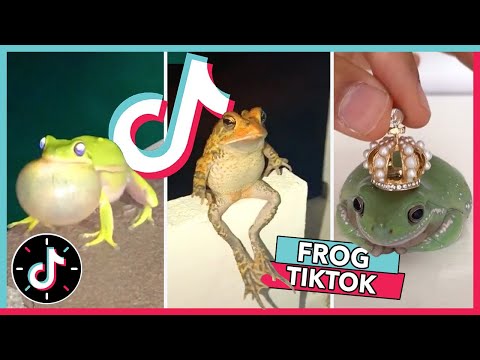 WELCOME TO FROG TIKTOK 🐸  TikTok Compilation 2020