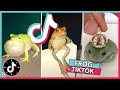 WELCOME TO FROG TIKTOK TikTok Compilation 2020