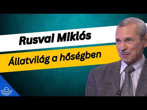 Pirkadat: Rusvai Miklós – Állatvilág a hőségben