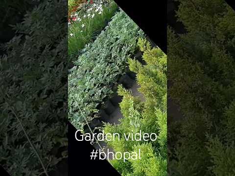Garden video  #shortvideo#youtubeshorts#viral#shors#ytsh rts#mukund