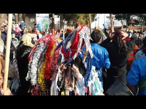 Capra de la Lipova / Satu Nou 2016 #2