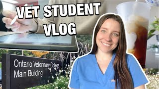 DAY IN THE LIFE OF A VET STUDENT: a *productive* day in vet school 🐾