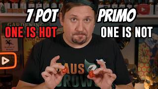Chili Pepper Roulette - Will I Survive the Heat?!