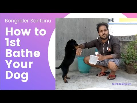 How to Bathe Your Dog 1st Time || Dodo the Rottweiler || Bongrider Santanu || Bengali Vlog