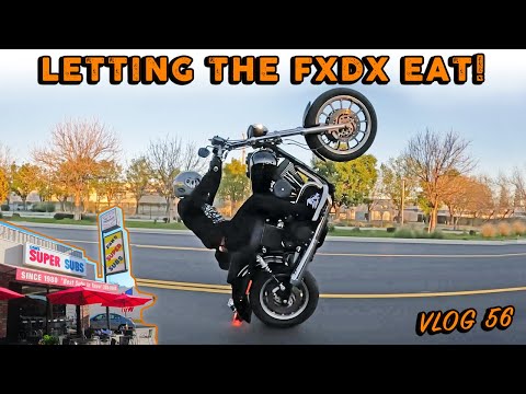 Letting the FXDX EAT! Vlog 56