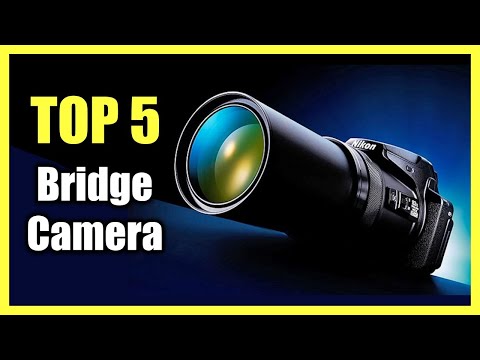 Top 5 Best Bridge Camera 2023| Best Zoom Cameras for Wildlife & Sports Photography!