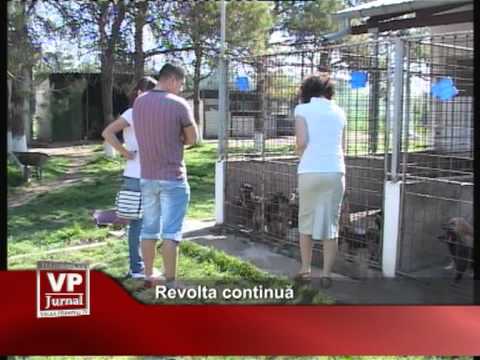 Revolta continuă