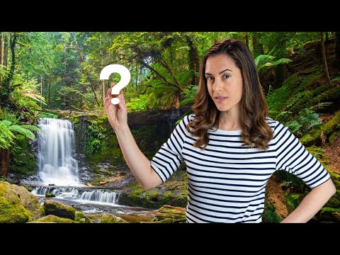 The superfood to end all superfoods?