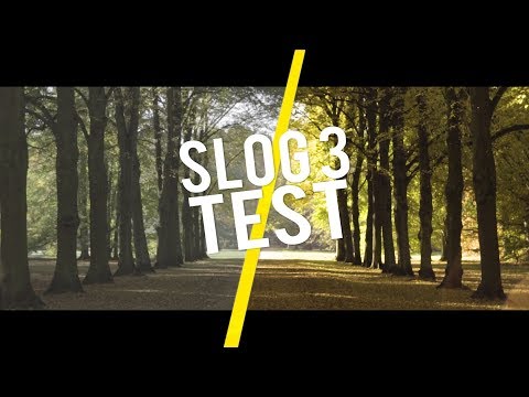 SLOG 3 Cinematic Footage - The Autumn is coming