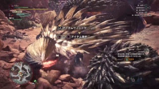 07MHWβ