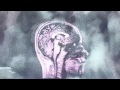 The Cyclist - Daisy Spirals (Flourish LP) 