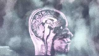 The Cyclist - Daisy Spirals (Flourish LP)