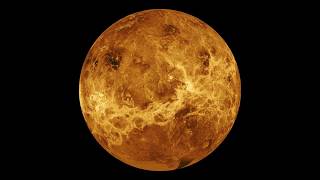 Did Venus Once Have a Moon?