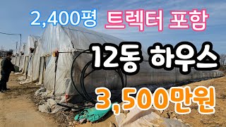 12동 2,400평 하우스 35마력 트렉터 집기류 포함  3,500만원
