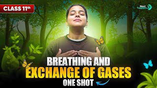 Breathing and Exchange of Gases Class 11 One Shot | NCERT Biology Full Chapter-17 Explanation