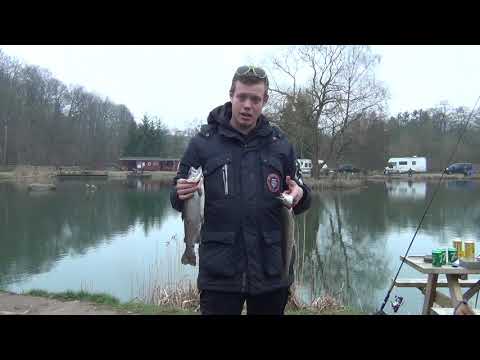 20180414 Regnbue- og tigerørred på spinner / Regenbogen- und Tigerforelle auf Spinner
