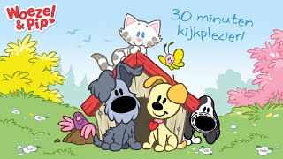 ⭐ Woezel &amp; Pip afleveringen ⭐ - 30 minuten compilatie 🐾