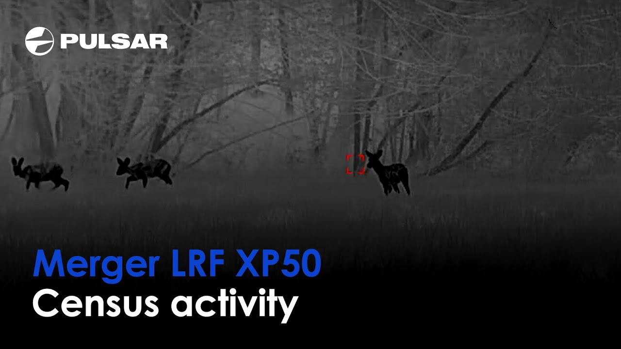 Merger LRF XP50 | Census activity | By Riccardo Tamburini