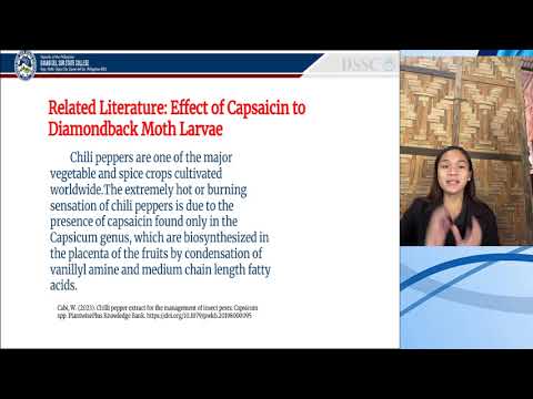 Video presentation: Short Term Research Proposal