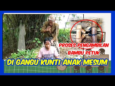 video-lucu-viral-hiburan-warga-62-bikin-ngakak-funny-videos-2